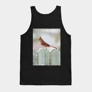 Female Cardinal Snowy Day Tank Top